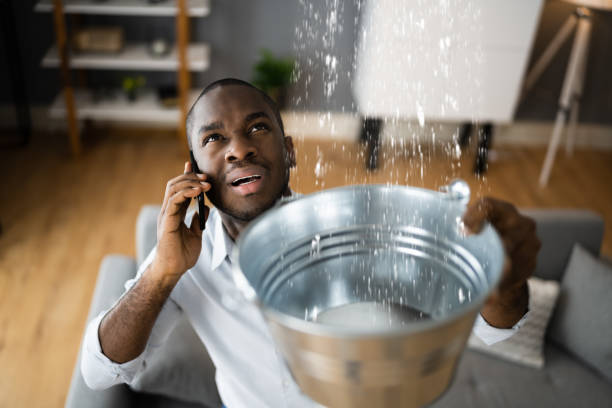 Best Mold removal after water damage  in Ada, MN