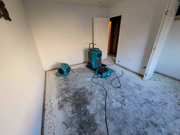 Best Carpet water damage restoration  in Ada, MN