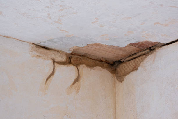 Best Water damage restoration experts  in Ada, MN
