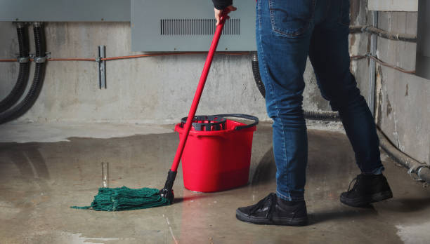 Best Sewage cleanup and water damage restoration  in Ada, MN