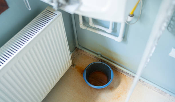 Best Water damage cleanup near me  in Ada, MN