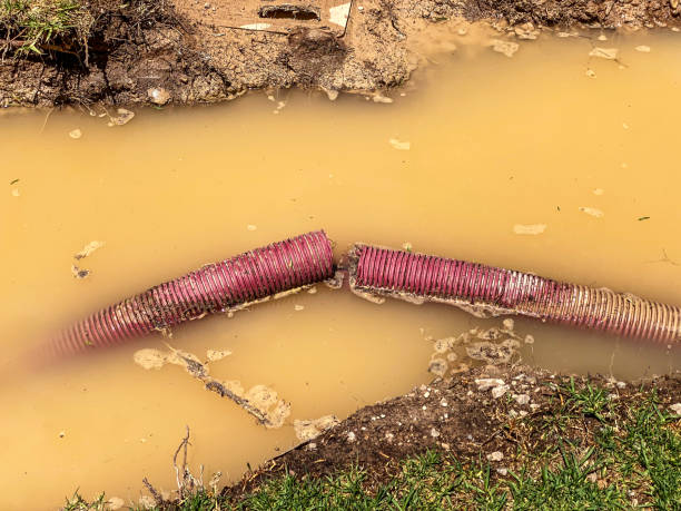 Best Emergency water damage restoration  in Ada, MN