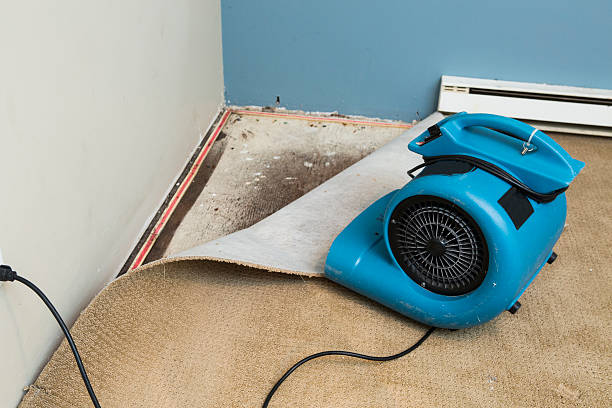 Best Fire Damage Restoration  in Ada, MN