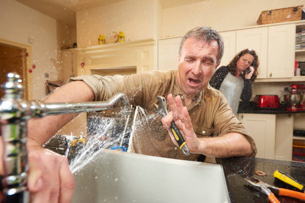 Best Commercial water damage restoration  in Ada, MN